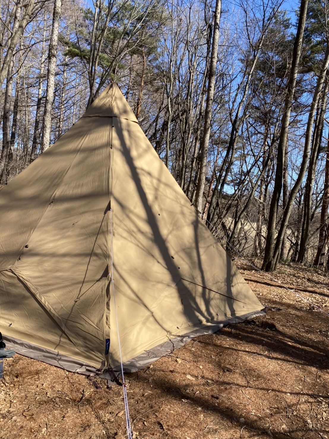 ファミリーでキャンプを楽しむならこのテントがおすすめ！【人気テント5選】